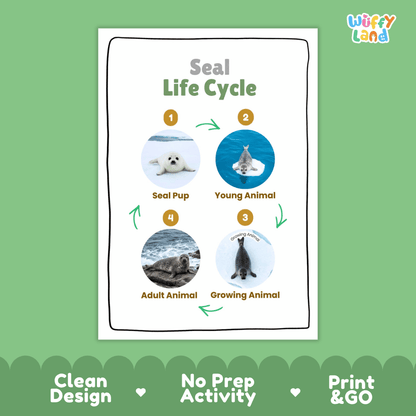Seal Life Cycle Poster and Cut and Paste Activity Worksheets