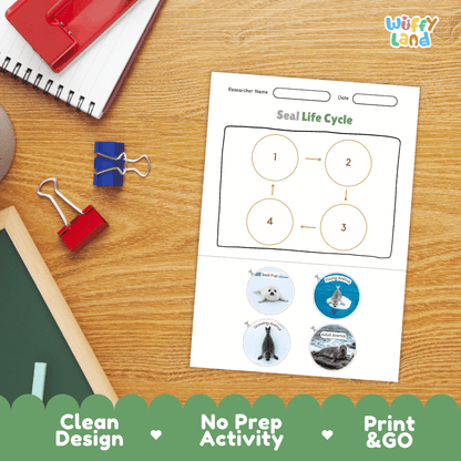 Seal Life Cycle Poster and Cut and Paste Activity Worksheets