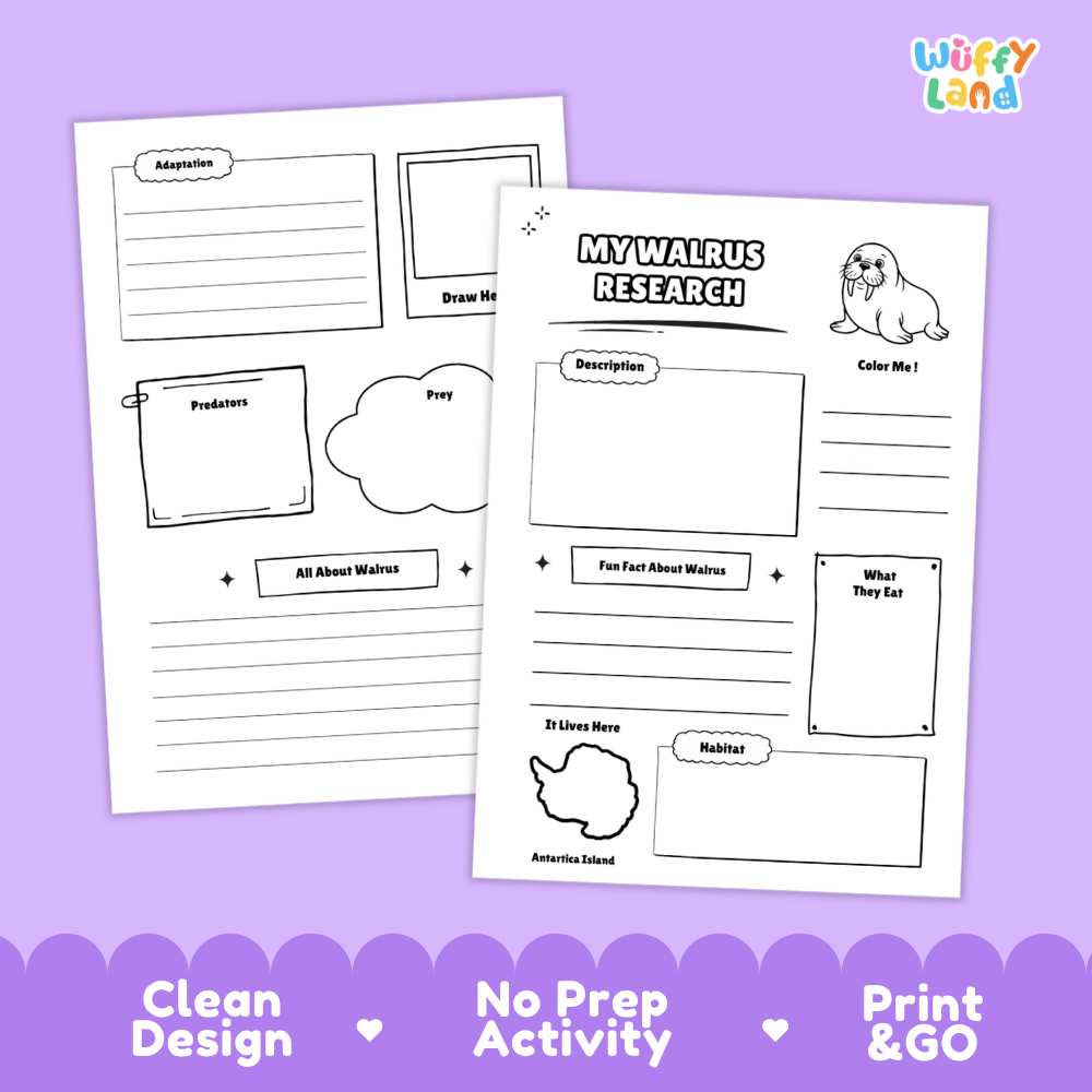 Two printable activity sheets for learning about walruses, shown on a lavender background with the Wiffy Land logo in the top right and marketing text along the bottom: 'Clean Design', 'No Prep Activity', and 'Print & Go'. The sheets contain black outline boxes and labels for writing, drawing, and coloring about walruses.