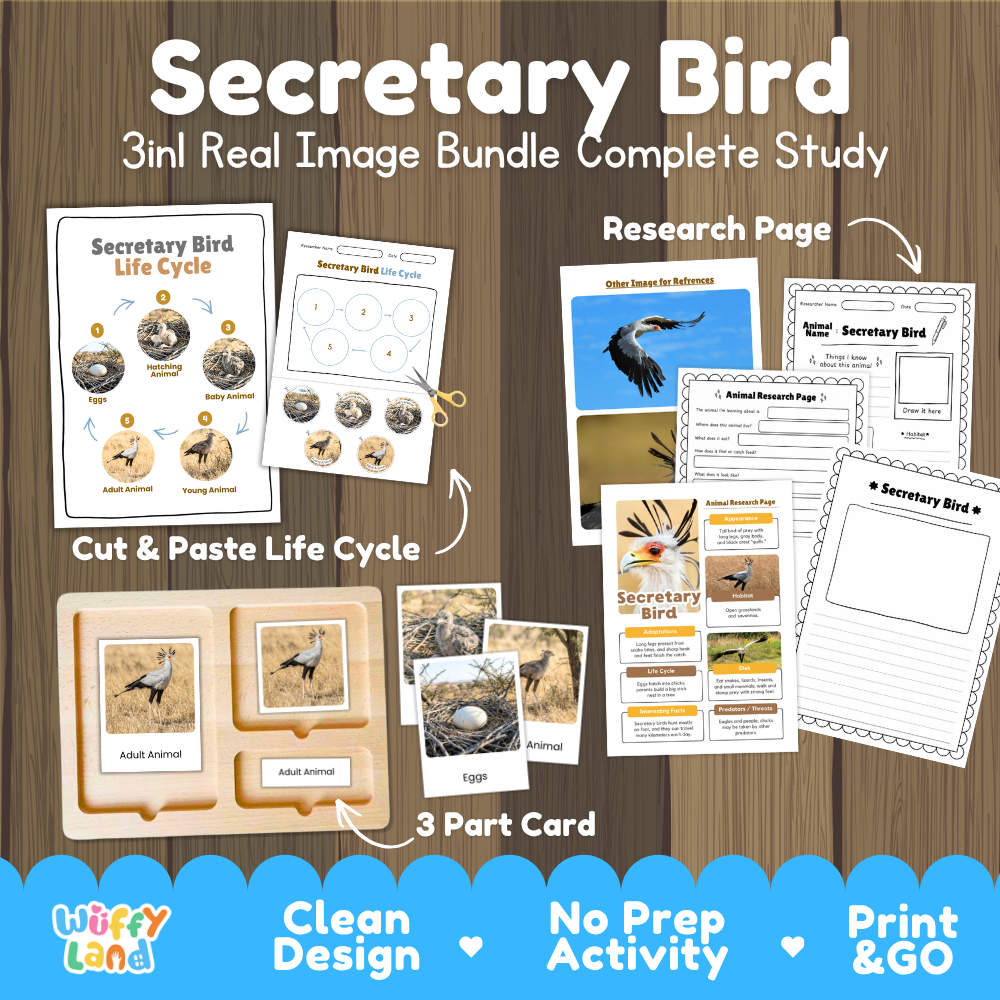 Secretary bird 3-in-1 real image bundle complete study cover showing cut and paste life cycle, 3 part cards, and research pages