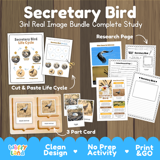 Secretary bird 3-in-1 real image bundle complete study cover showing cut and paste life cycle, 3 part cards, and research pages