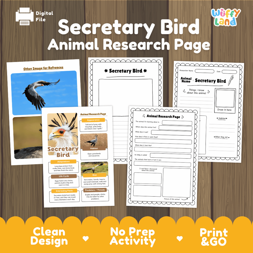 Digital preview of a printable 'Secretary Bird Animal Research Page' activity sheet set by Wiffy Land, displayed on a wood-grain background with promotional text at the bottom.