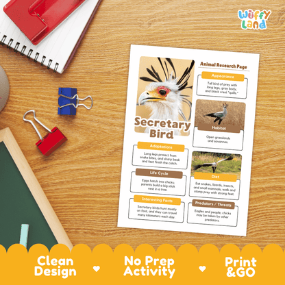 A printed educational poster titled 'Secretary Bird Animal Research Page' laid on a wooden desk, surrounded by school supplies including a spiral notebook, binder clips, and a chalkboard. The poster features a bird illustration and labeled sections about the bird's appearance, habitat, diet, and behavior.