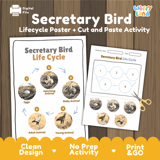 Secretary bird life cycle sequencing reference chart and cut and paste student worksheet with 5 developmental stages