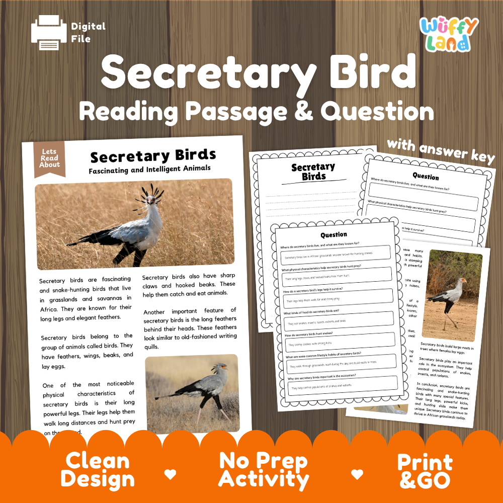 Secretary Bird Reading Passage and Comprehension Questions Worksheets