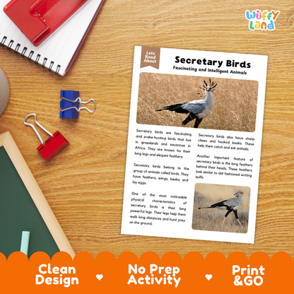 Secretary Bird Reading Passage and Comprehension Questions Worksheets