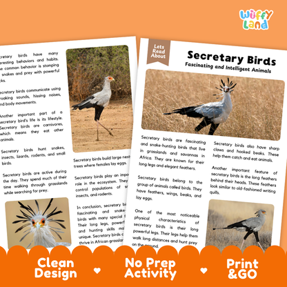 Secretary Bird Reading Passage and Comprehension Questions Worksheets