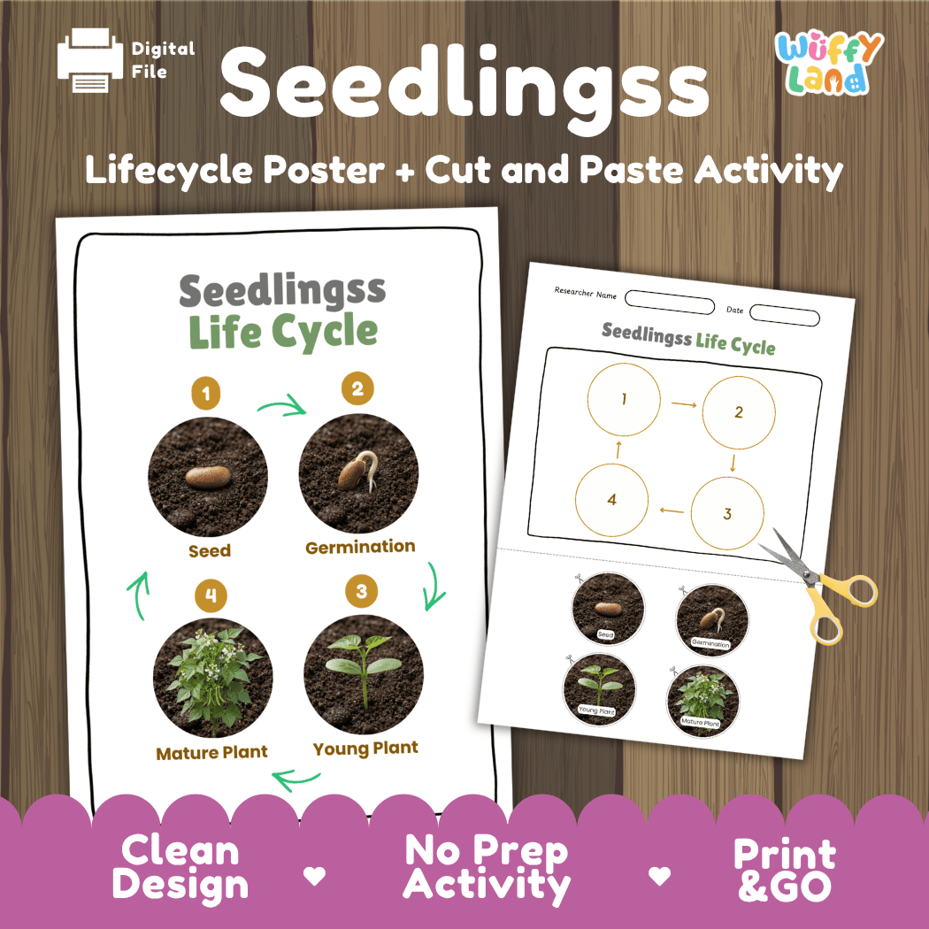 Seedlings Life Cycle Poster and Cut and Paste Activity Worksheet