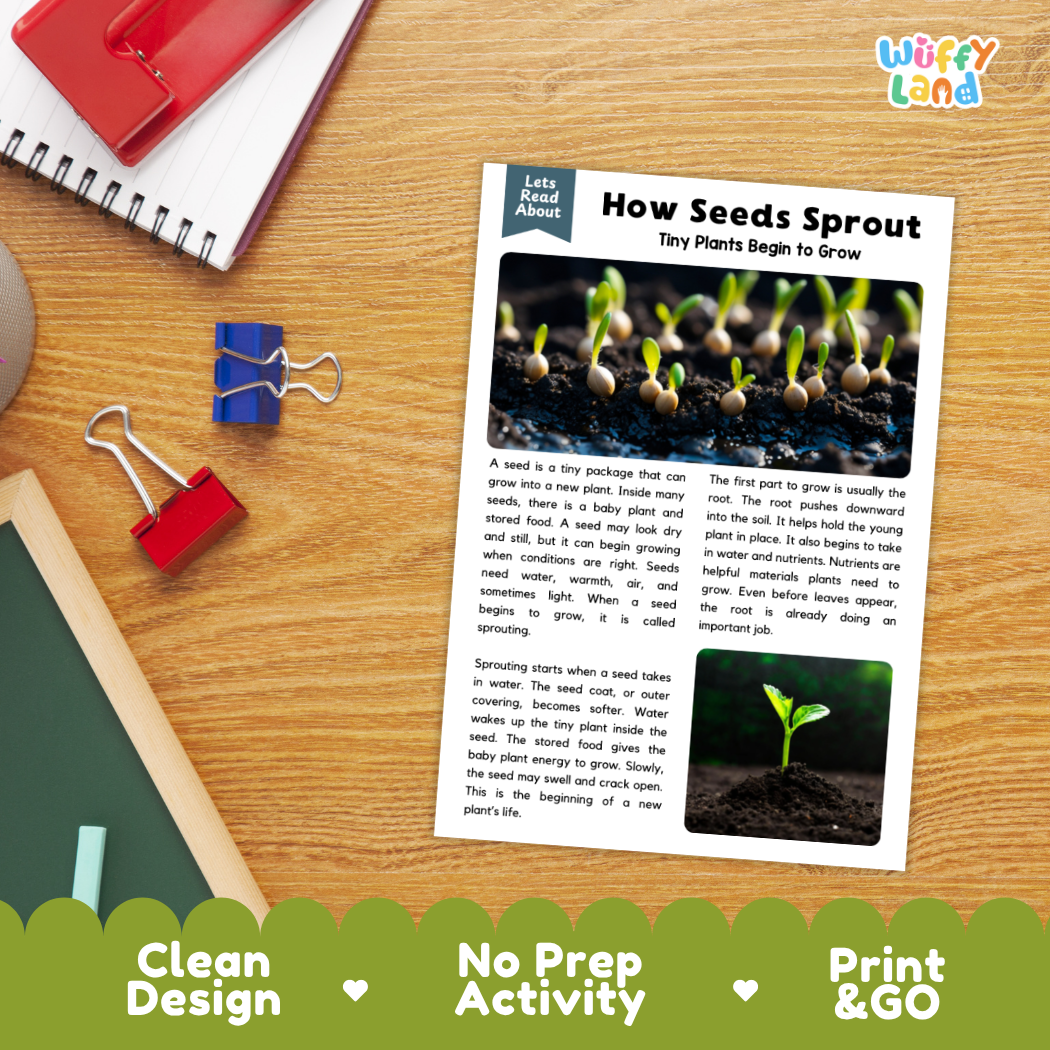 Printable student worksheet with short-answer reading comprehension questions covering seeds and plant science