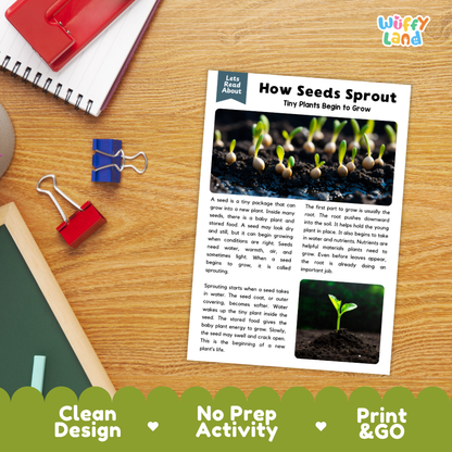 Printable student worksheet with short-answer reading comprehension questions covering seeds and plant science