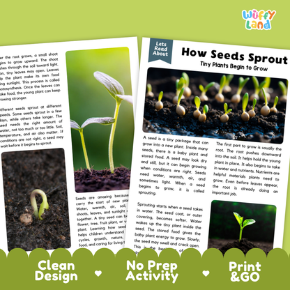 Complete teacher answer key worksheet providing detailed model responses for seed sprouting comprehension questions