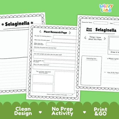 Selaginella Plant Research Pages and Worksheets