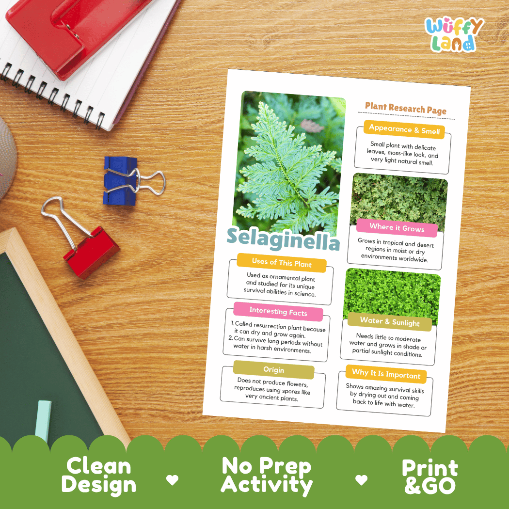 Selaginella Plant Research Pages and Worksheets