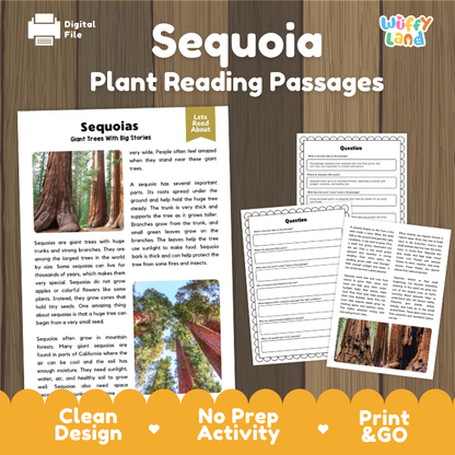 Sequoia Plant Reading Passages and Comprehension Questions Worksheets