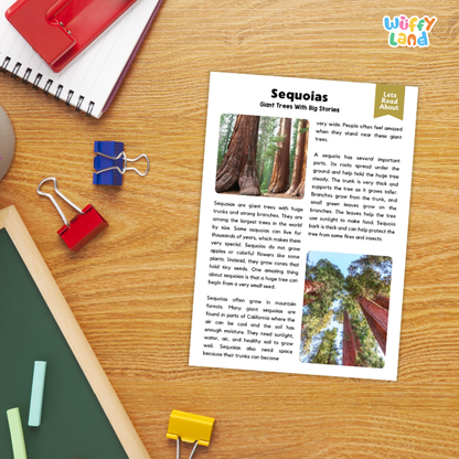 Sequoia Plant Reading Passages and Comprehension Questions Worksheets