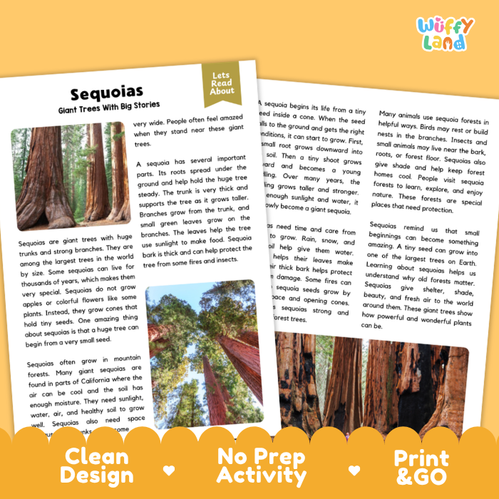Sequoia Plant Reading Passages and Comprehension Questions Worksheets