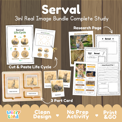 Serval 3-in-1 real image bundle complete study cover showing cut and paste life cycle, 3 part cards, and research pages