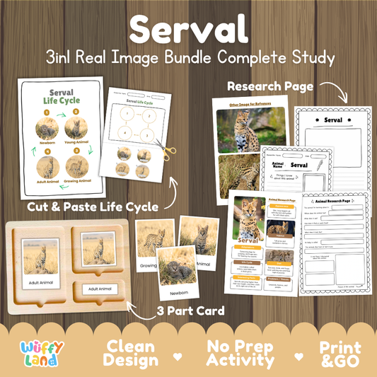 Serval 3-in-1 real image bundle complete study cover showing cut and paste life cycle, 3 part cards, and research pages