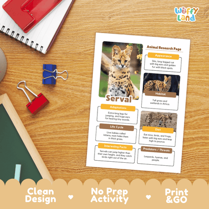 A printed animal research page about a serval cat lies on a wooden desk, surrounded by school-style props including a spiral notebook, binder clips, and a red notebook. The page has a colorful layout with a cat photo and text boxes.