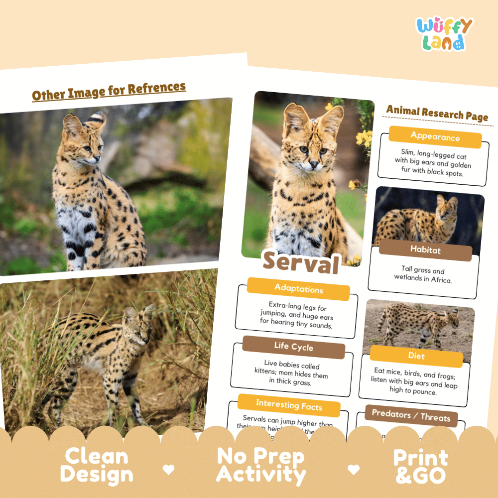 Two printed activity sheets for a safari-themed lesson, featuring a serval cat, on a warm beige background with decorative banners reading 'Other Image for References,' 'Animal Research Page,' and 'Clean Design No Prep Activity Print & GO.'.