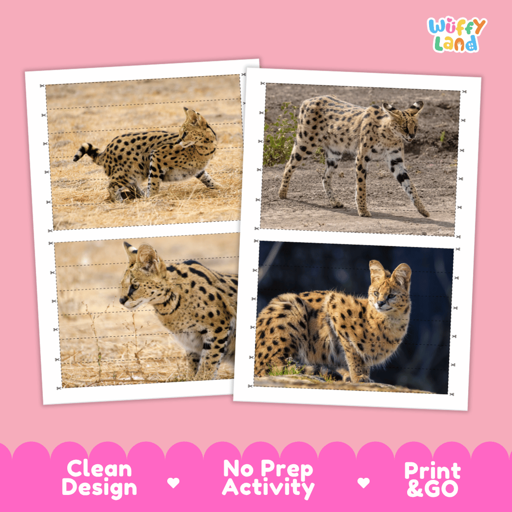 Serval Cut and Match Activity Worksheets | Safari Animal Puzzle Printables