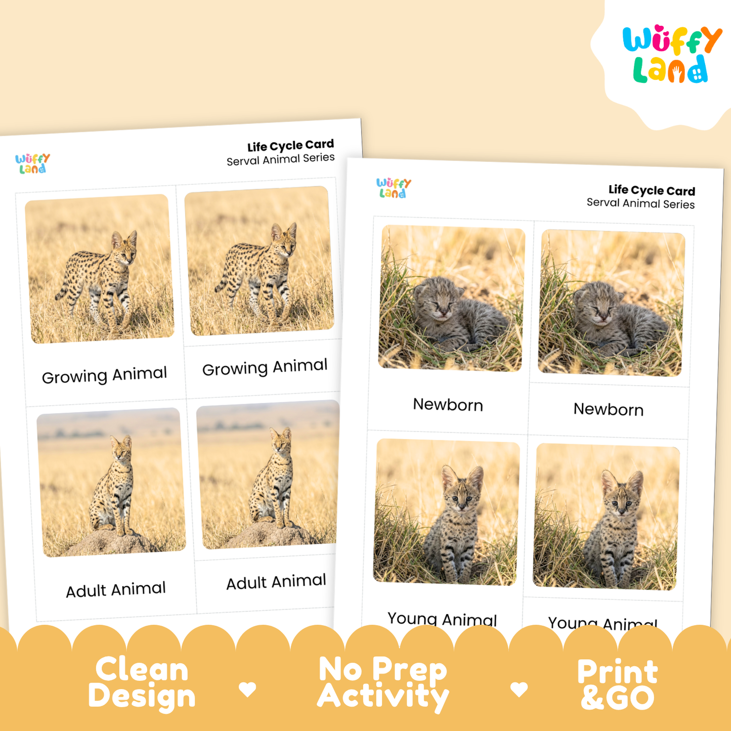 Serval Life Cycle Flashcards | Montessori 3 Part Cards Mammal Activity