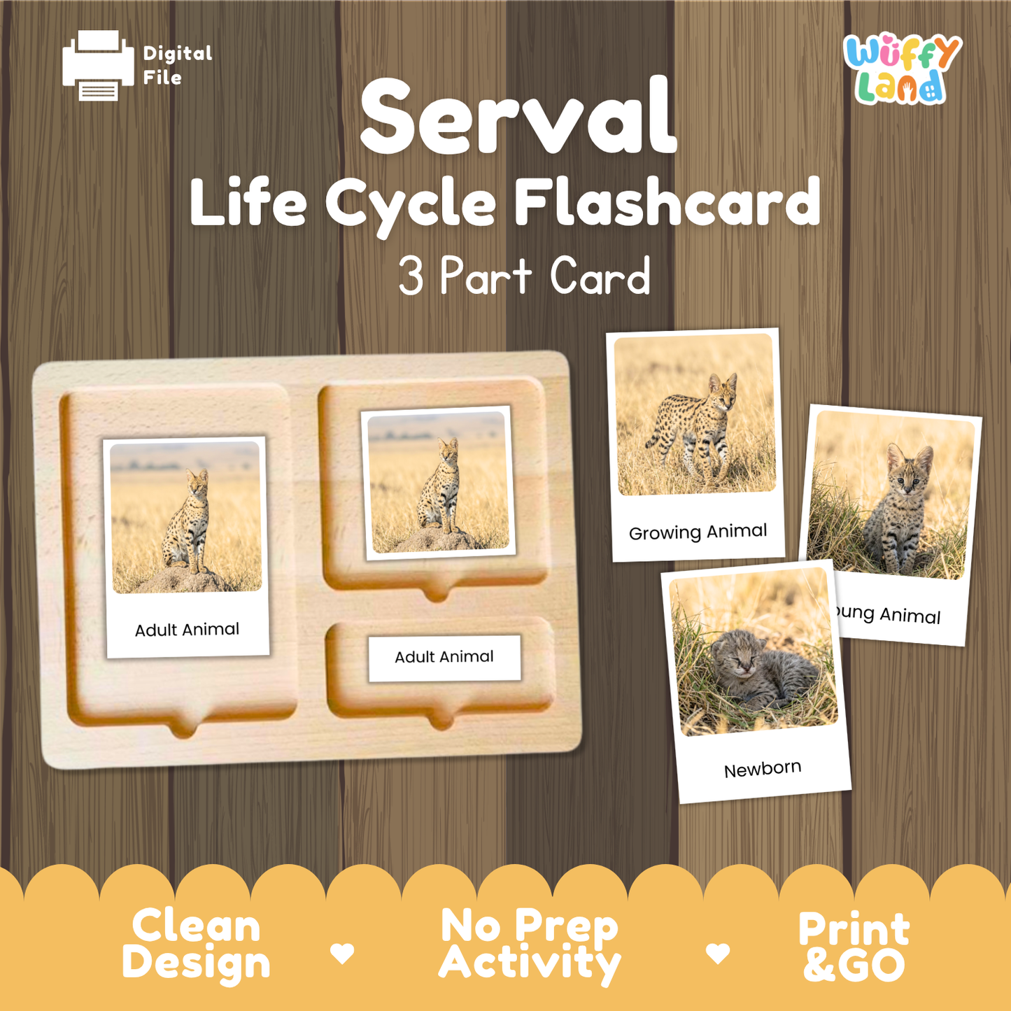 Serval Life Cycle Flashcards | Montessori 3 Part Cards Mammal Activity