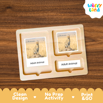 Serval Life Cycle Flashcards | Montessori 3 Part Cards Mammal Activity