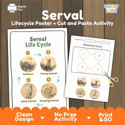 Serval Life Cycle Poster and Cut and Paste Activity Worksheets