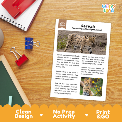 An educational reading activity sheet titled 'Servals Fascinating and Intelligent Animals' laid flat on a wooden desk, surrounded by school supplies including a red notebook, blue binder clips, and a red pencil case. The sheet contains text and animal photographs.