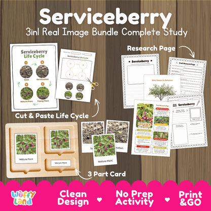 Complete Serviceberry 3-in-1 real image study bundle featuring cut and paste worksheets, Montessori 3-part cards, and research pages 🫐🌱