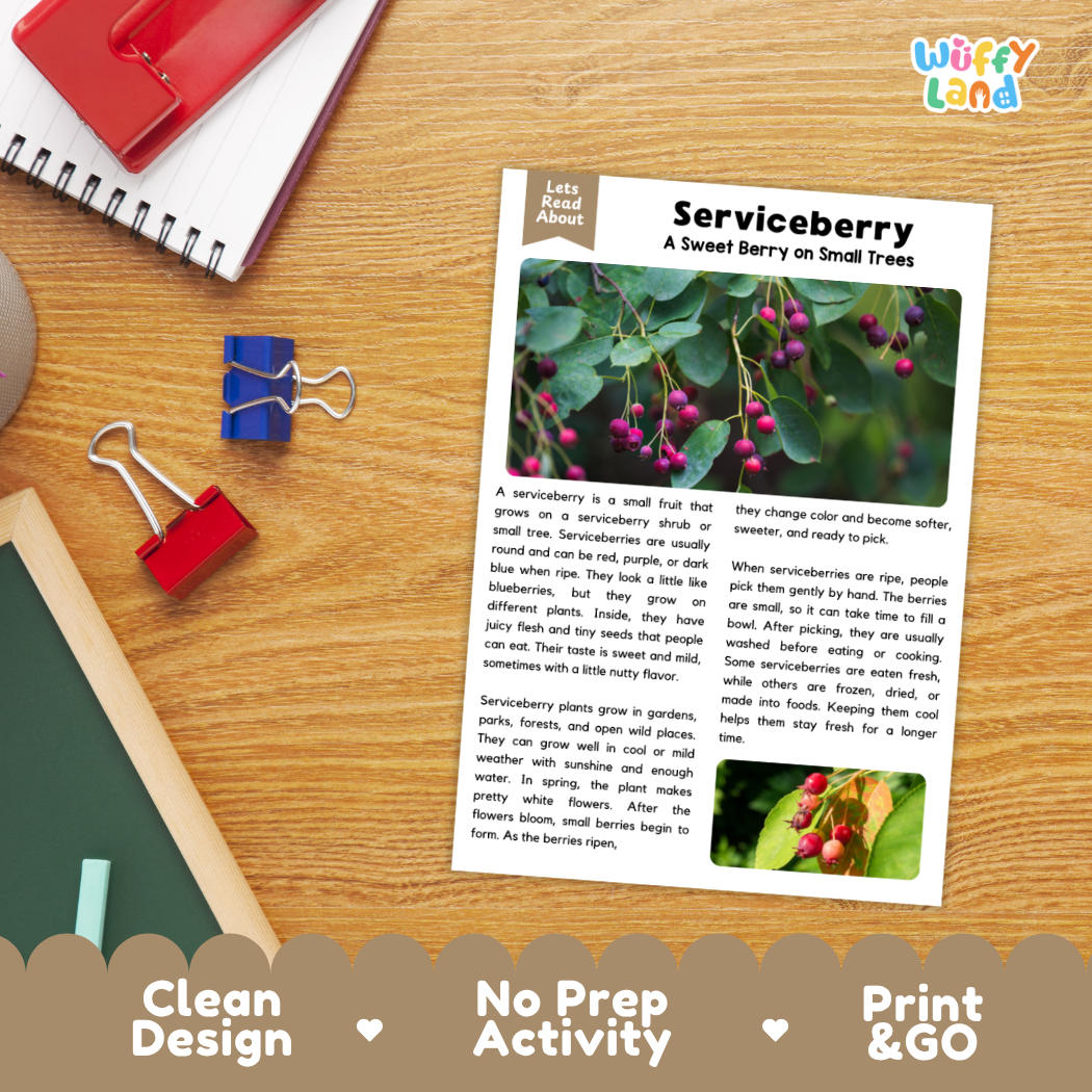 Student reading comprehension worksheet with short-answer questions and lined sections about serviceberries