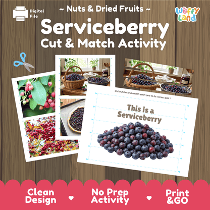 Serviceberry Cut and Match Activity Worksheets | Nuts and Dried Fruits Puzzle Printables