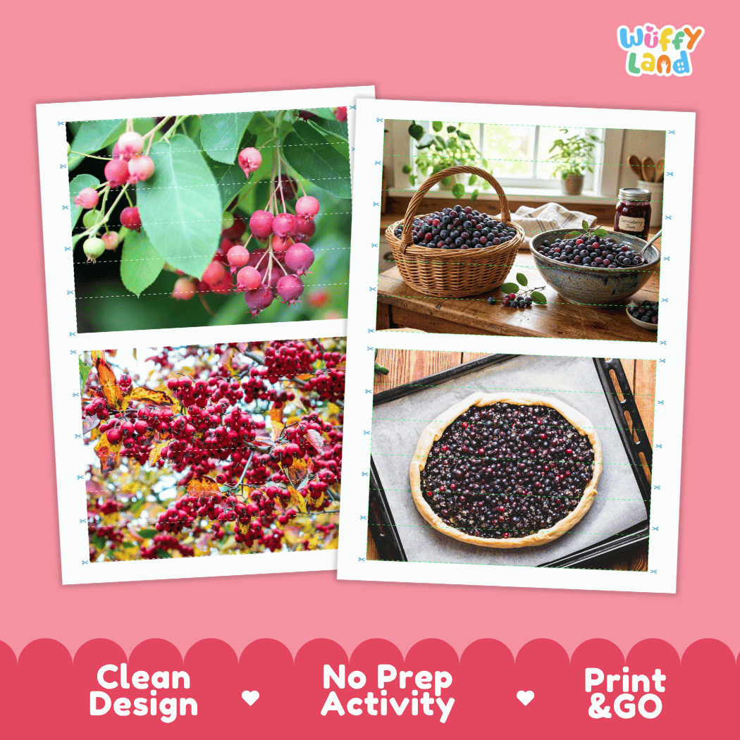 Serviceberry Cut and Match Activity Worksheets | Nuts and Dried Fruits Puzzle Printables