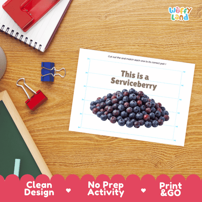 Serviceberry Cut and Match Activity Worksheets | Nuts and Dried Fruits Puzzle Printables