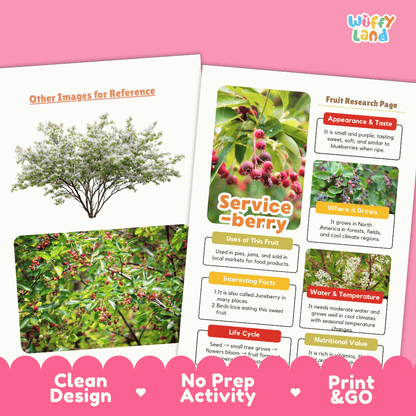 Serviceberry Fruit Research Page Worksheets and Fact Sheet