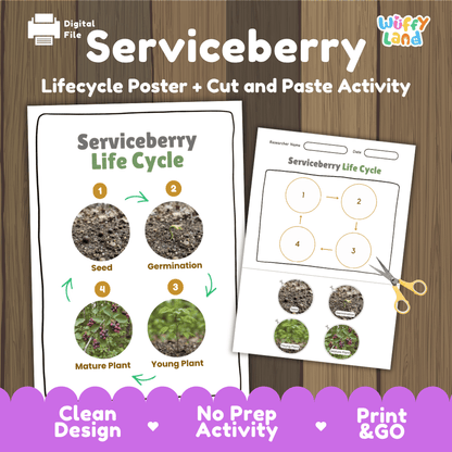 Serviceberry Life Cycle Poster and Cut and Paste Worksheet Activity