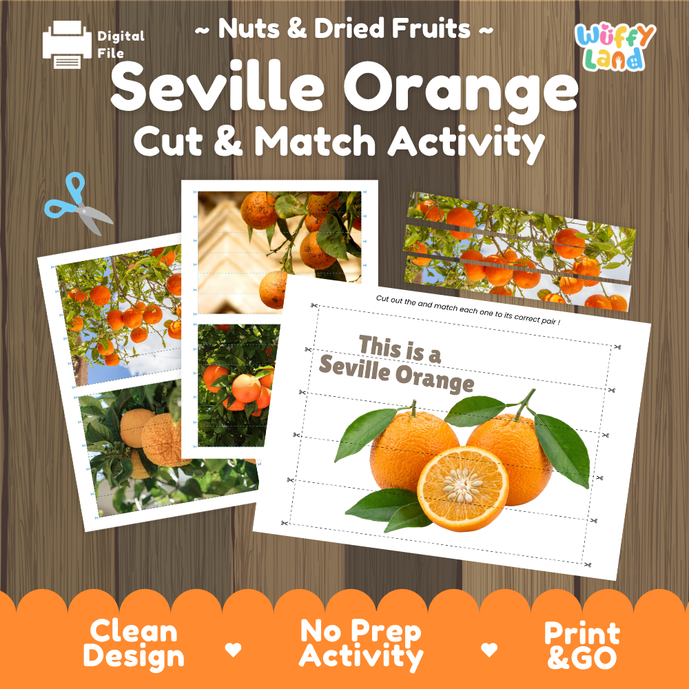 Seville orange cut and match activity cover showing printable fine motor puzzle sheets and citrus photographs