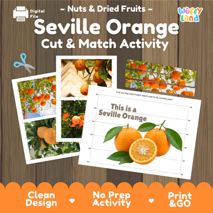 Seville orange cut and match activity cover showing printable fine motor puzzle sheets and citrus photographs
