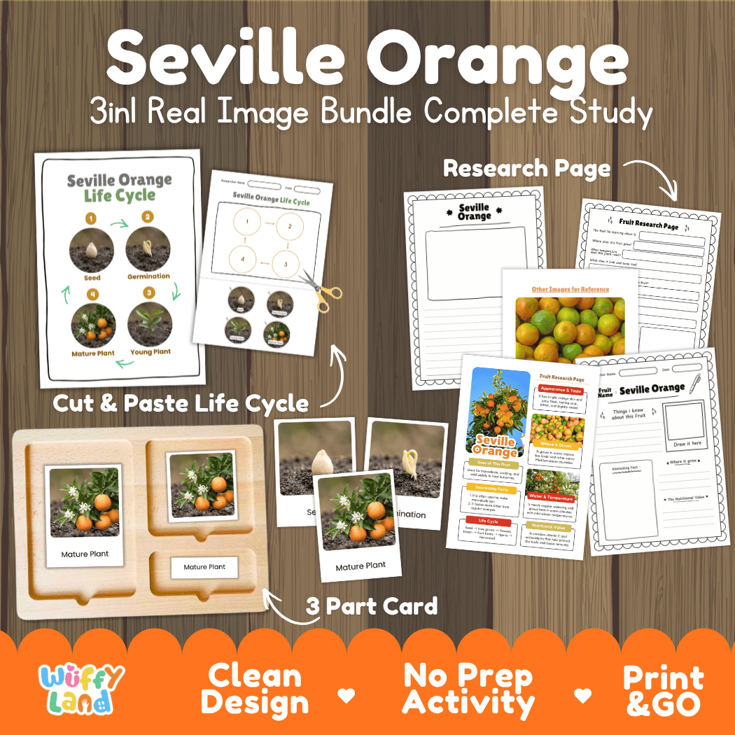 Complete Seville Orange 3-in-1 real image study bundle featuring cut and paste worksheets, Montessori 3-part cards, and research pages 🍊🌱