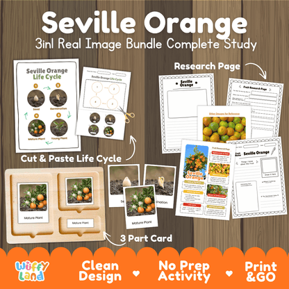 Complete Seville Orange 3-in-1 real image study bundle featuring cut and paste worksheets, Montessori 3-part cards, and research pages 🍊🌱