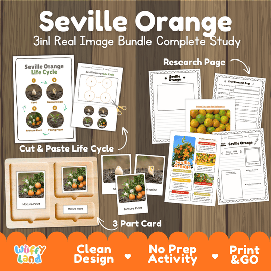 Complete Seville Orange 3-in-1 real image study bundle featuring cut and paste worksheets, Montessori 3-part cards, and research pages 🍊🌱