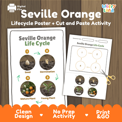 Seville orange life cycle educational poster and cut and paste sequencing activity printable featuring real photos for elementary science