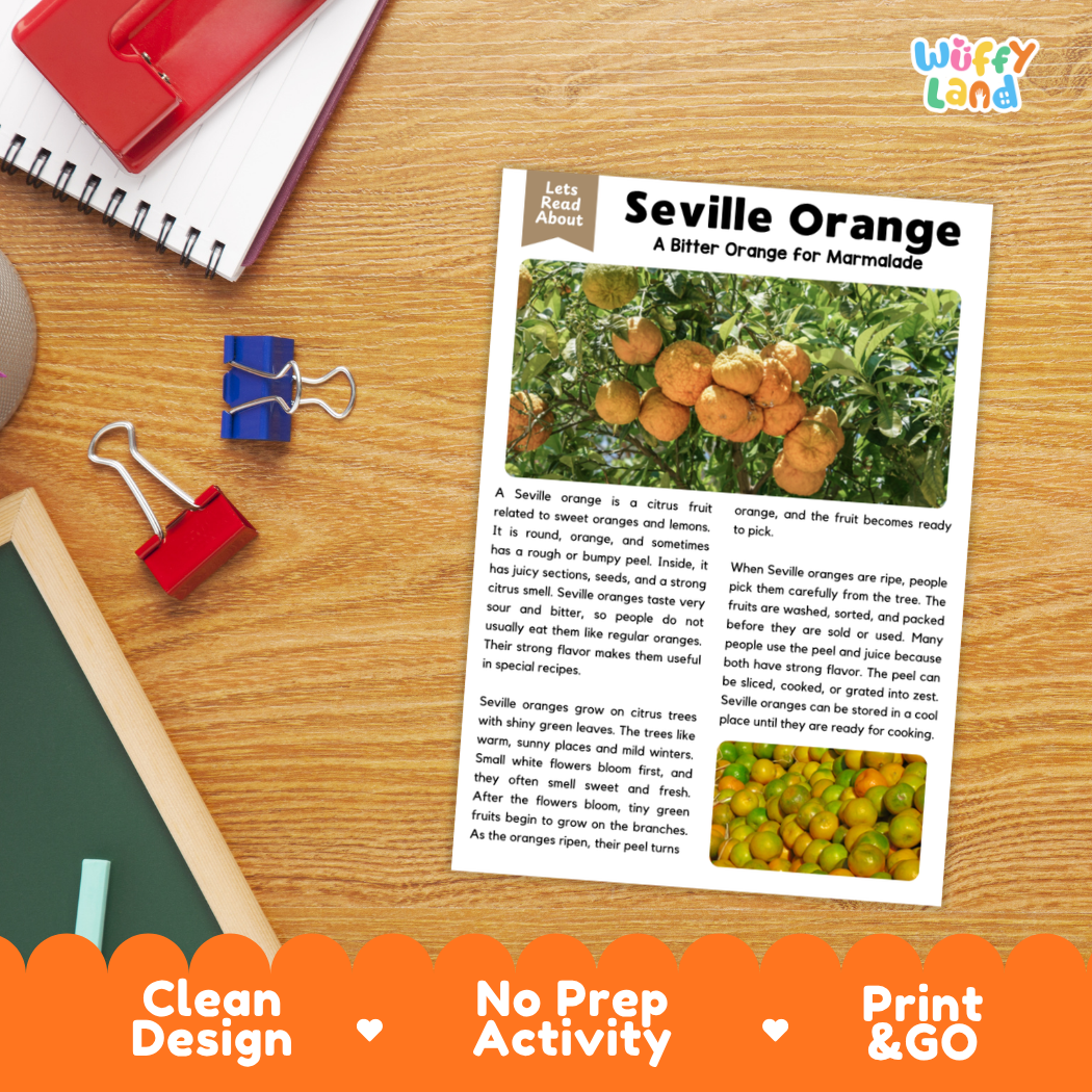 Student reading comprehension worksheet with short-answer questions and lined sections about Seville bitter oranges