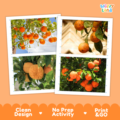 Printable activity sheets featuring photographic Seville orange puzzle boards and cutting guides