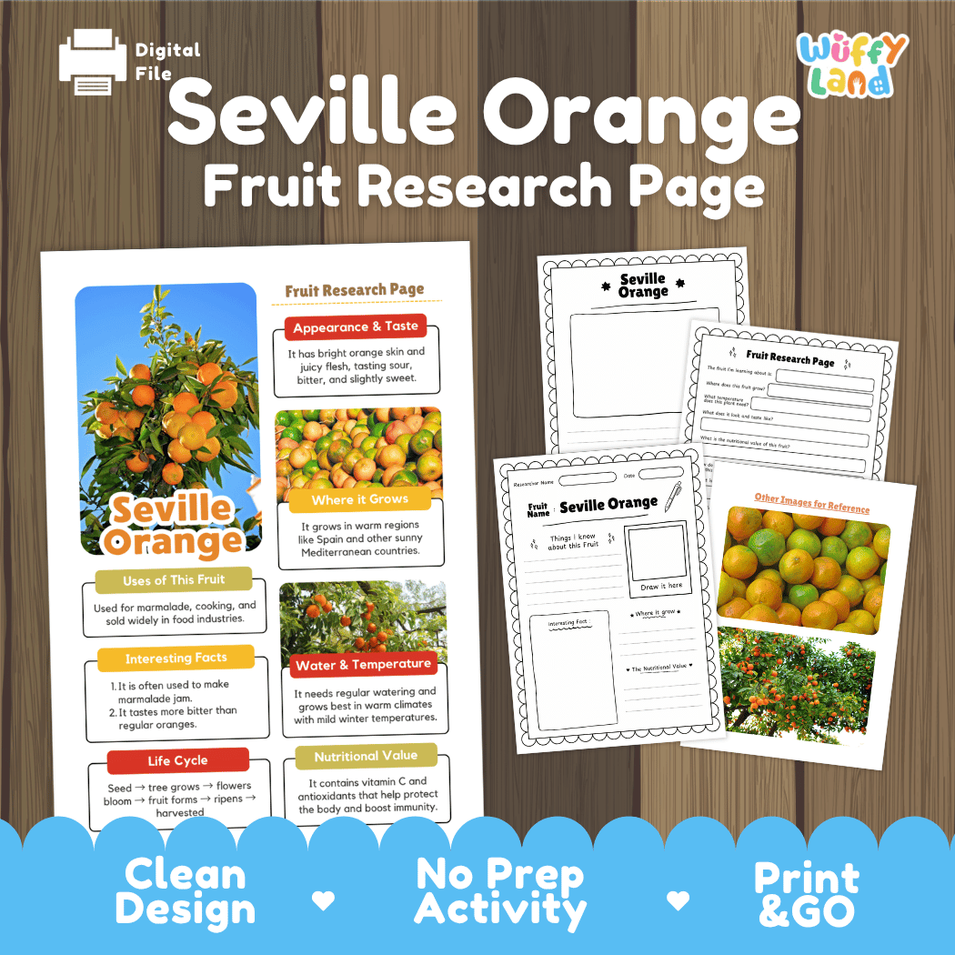 Seville Orange Fruit Research Page Worksheets and Fact Sheet