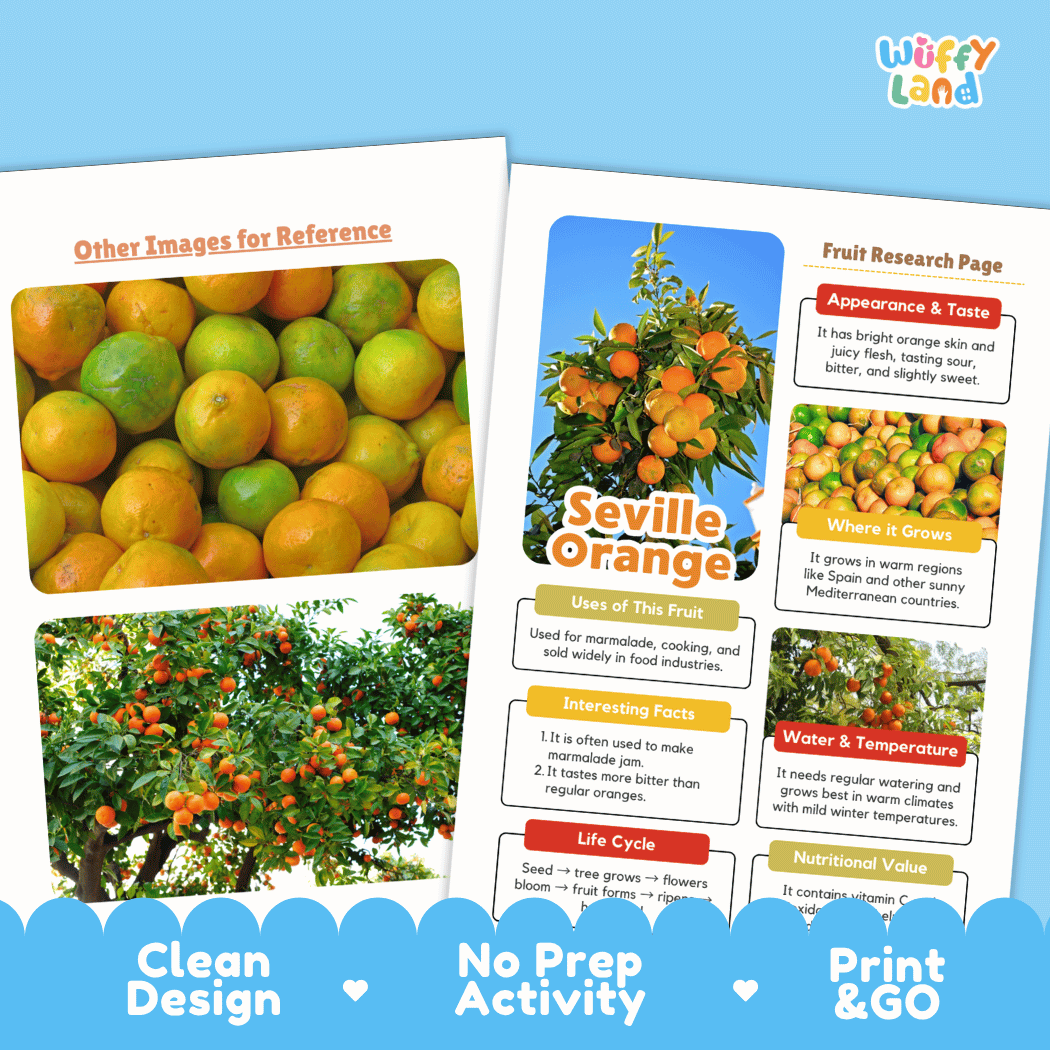 Seville Orange Fruit Research Page Worksheets and Fact Sheet