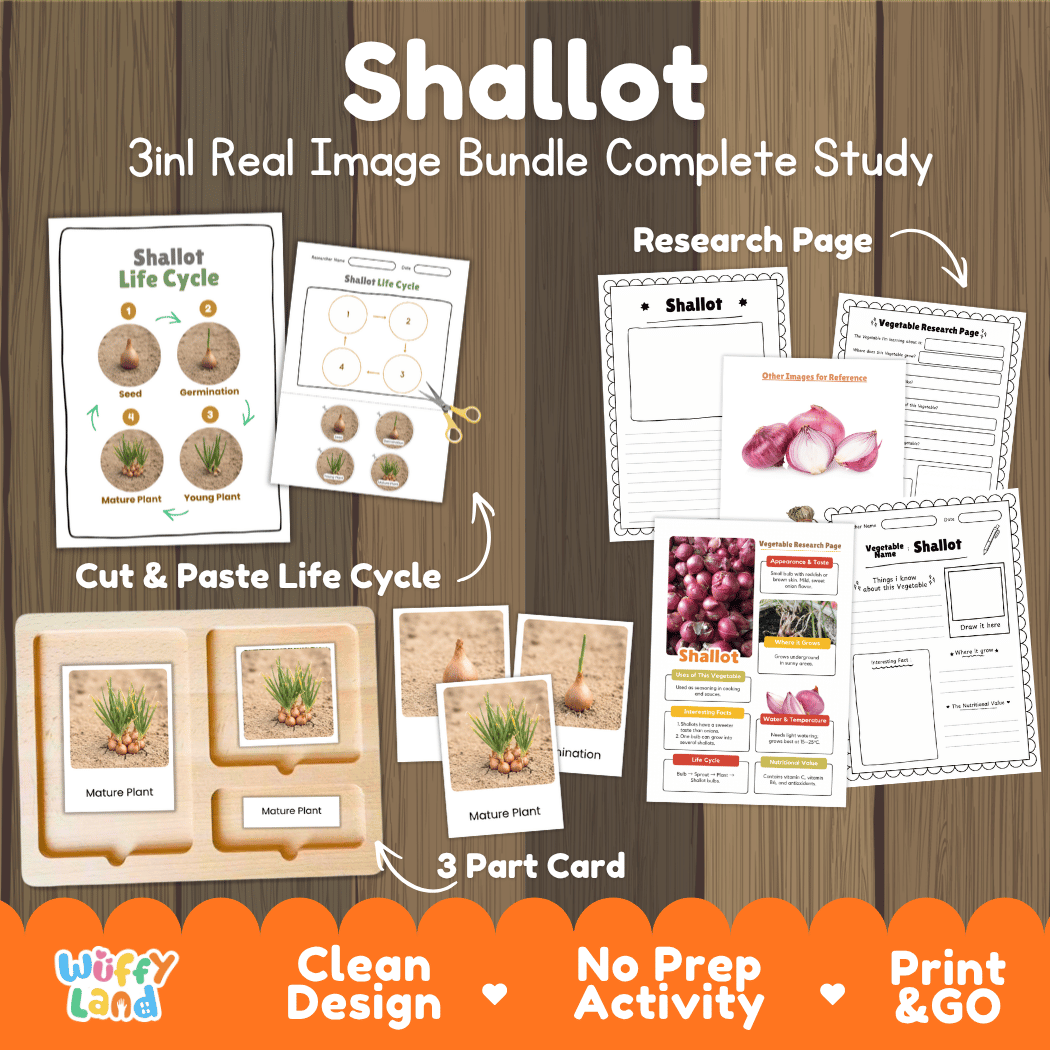 Shallot 3in1 real image bundle complete study printable featuring life cycle cut and paste worksheets, Montessori 3-part cards, and research pages