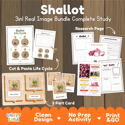 Shallot 3in1 real image bundle complete study printable featuring life cycle cut and paste worksheets, Montessori 3-part cards, and research pages