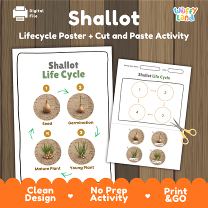 Shallot plant life cycle educational poster and cut and paste printable sequencing activity featuring real photos for elementary science